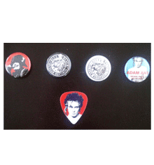 BADGES & PLECTRUM