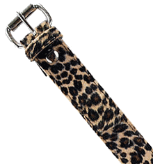 LEOPARD