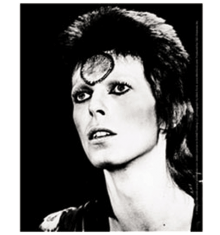 DAVID BOWIE - BLACK & WHITE