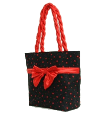 STAR BLACK RED BOW